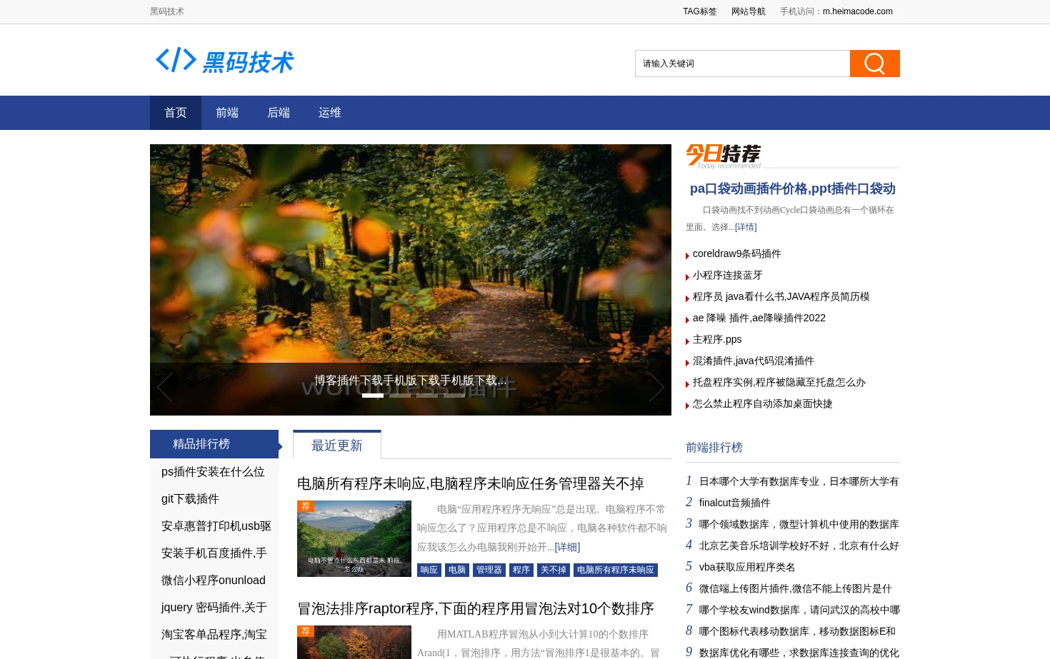 黑码技术 页面快照